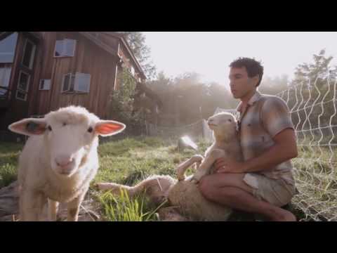 Видео: ОБИТАТЕЛИ: ПЕРМАКУЛЬТУРНАЯ ПЕРСПЕКТИВА