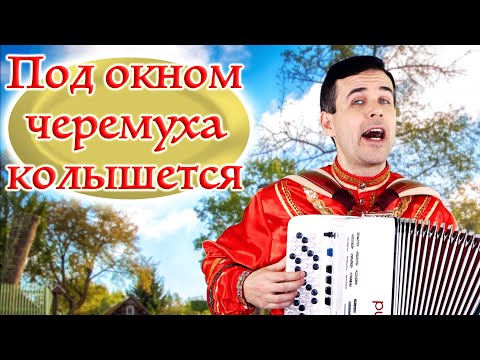 Видео: 🎶 ДУШУ РАЗРЫВАЕТ ПАРЕНЬ! А как баян поет! Под окном черемуха колышется.