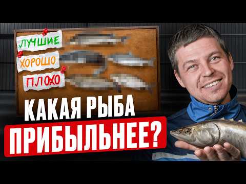 Видео: Рейтинг 10 самых ЛУЧШИХ рыб для разведения в УЗВ в 2026 году. Какую выбрать новичкам-рыбоводам?