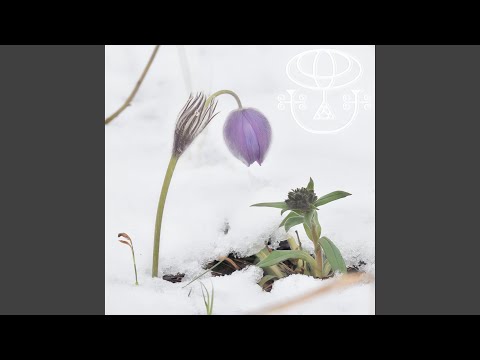 Видео: Тойота Селика