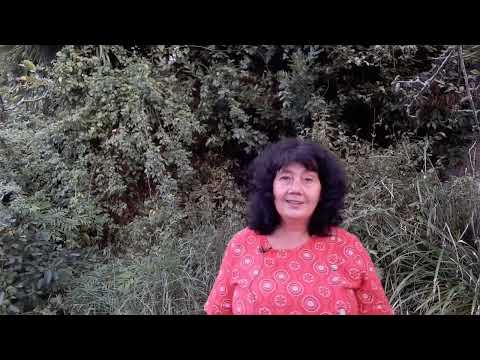 Видео: Негативные эмоции, которые контролируют мою жизнь с раннего детства. Что делать