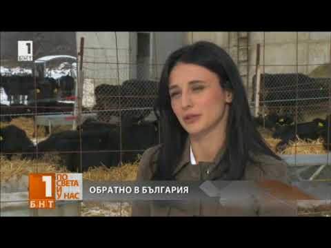 Видео: Броят на напускащите България расте, но завърналите се стават все повече