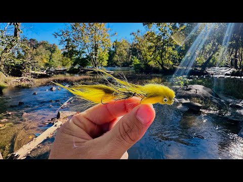 Видео: Ловля малоротого окуня нахлыстом в SC | Тонны экшена!