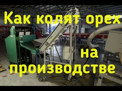 Видео: Как раскалывают грецкий орех на  производстве? Обзор орехокола Эталон. Walnut cracking machine..