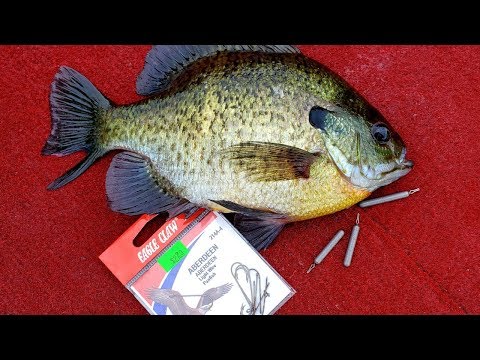 Видео: Ловля панфиша (крупных синежаберных щук) методом дропшот