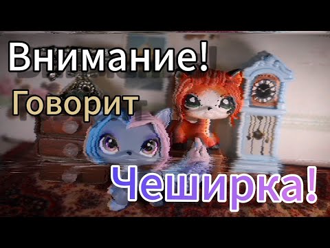 Видео: Самые чеширские новости! (Авторские игрушки, судьба канала и многое другое!)
