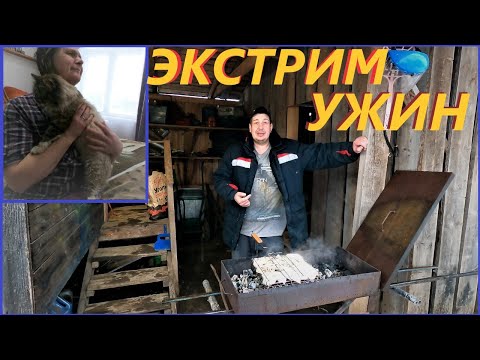 Видео: ДЕРЕВЕНСКИЙ УЖИН # р СУХОНА# р ЦАРЕВА#ДЕРЕВЕНСКИЕ БУДНИ 92#деревня #КРЫЛЫШКИ НА УГЛЯХ#
