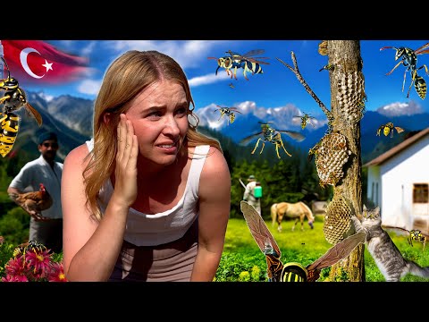 Видео: ОНИ РЕШИЛИ МЕНЯ ВЫСЕЛИТЬ! Спасаю хозяйство и животных. Болезнь, которая одолела местных