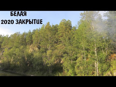 Видео: ЗАКРЫТИЕ СЕЗОНА 2020. ЛЕНОК, ТАЙМЕНЬ. РЕКА БЕЛАЯ.