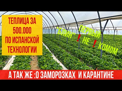 Видео: Супер- теплица для клубники за 500.000 по испанской технологии