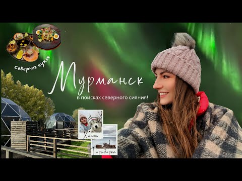 Видео: 5 дней в МУРМАНСКЕ: увидеть северное сияние и китов 🐋🌌 покаться на оленях и попробовать медведя