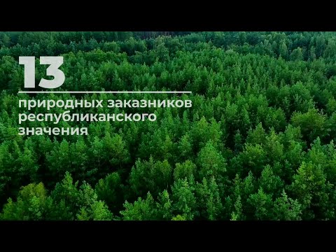 Видео: Интересные факты про Гомель и область, о которых вы точно не задумывались