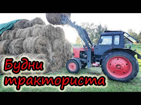 Видео: Работа в деревне // Тяжелый труд // БУДНИ ТРАКТОРИСТА