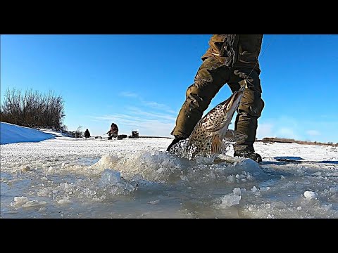 Видео: ЩУКА НА КРАБА. Река Амур Зимняя рыбалка