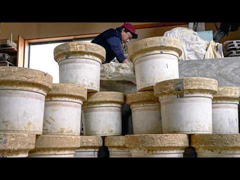 Видео: Секретный Инструмент для Вкусного Гриля: Создание Японского Угольного Гриля (Черный Шичирин)