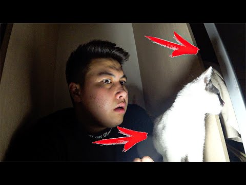 Видео: Есігімді ТОҚЫЛДАТЫП жатыр ! ТҮНГІ 04:00 де **НЕ ЕКЕНІҢ БІЛМЕЙМІН**