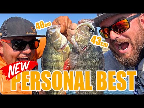 Видео: #TBT / ПОДОБРИХ РЕКОРДА СИ! Подивели от глад КОСТУРИ плюят цели риби!