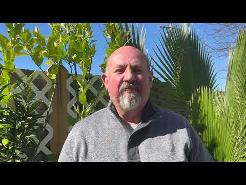 Видео: 5 видов тихоокеанского лосося на Аляске. Какой выберешь ты?