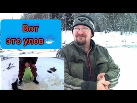 Видео: Гольян на раколовку зонтик.Вот это улов.