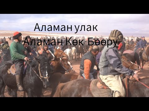 Видео: Аламан Көк-Бөөру (Аламан улак) Чон-Алай, Ачык-Суу айылы