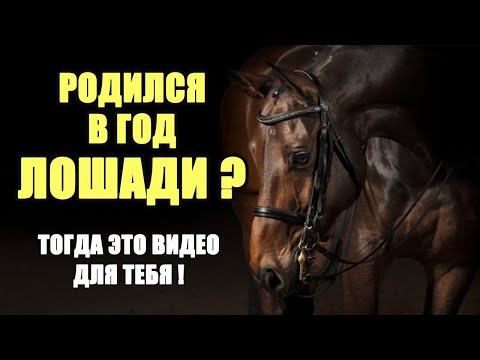 Видео: Рождённый в год Лошади. Это видео для тебя!