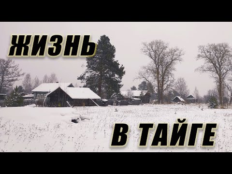 Видео: МЕРТВЫЕ ЗАБРОШЕННЫЕ ДЕРЕВНИ В ТАЙГЕ, как люди жили без дорог и связи всего 50 лет назад
