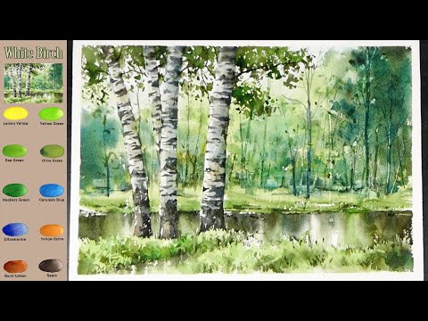 Видео: Без эскиза  Пейзаж Акварель -  Белая береза  (просмотр смешения цветов)