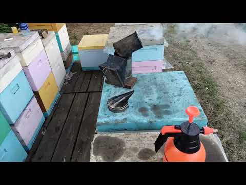 Видео: Осмотр полей вокруг пасеки.