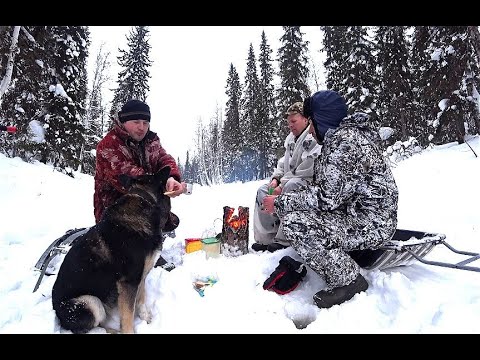 Видео: На ночь в тайгу 2. Рыбалка и готовка хариуса. Вечер в таёжной избе.