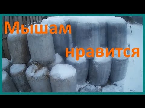 Видео: Второй этаж - не спасение? Сенаж в минирулонах.
