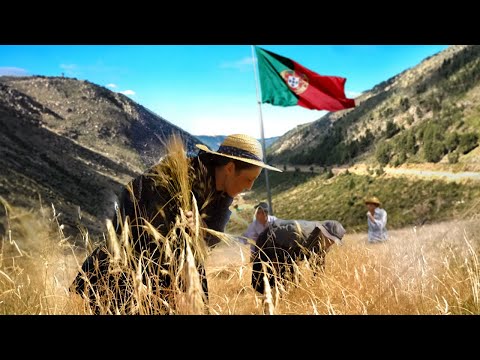 Видео: Природные парки Португалии: Серра-да-Эштрела