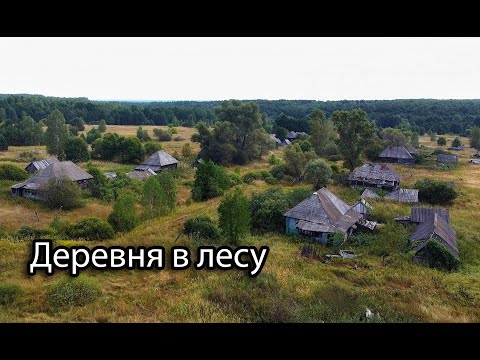 Видео: Заброшенная деревня Юзга, Рязанская область. Родина подписчиц моего канала.