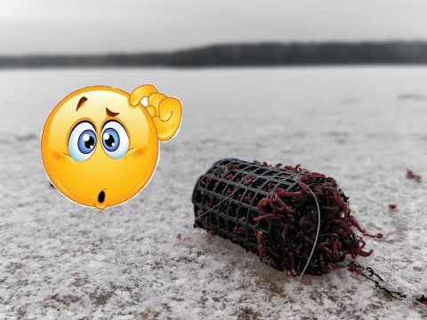 Видео: Десногорское водохранилище - в поисках рыбалки