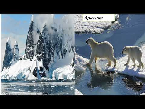 Видео: жаратылыстану 2 сынып 16 сабақ Су қалай өзгереді?