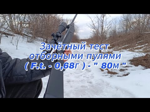 Видео: Мр 512 - стреляем на 80м, в мишень 4,5×10см. Тест после анализа и корректировок.