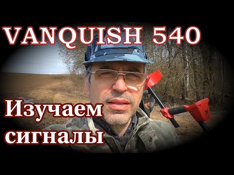 Видео: продолжаем изучение сигналов металлоискателя Ванквиш 540