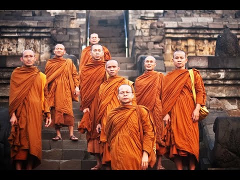 Видео: Lessaria №9 Джунгли монахов где живут ящеры    и алчные гоблинойды