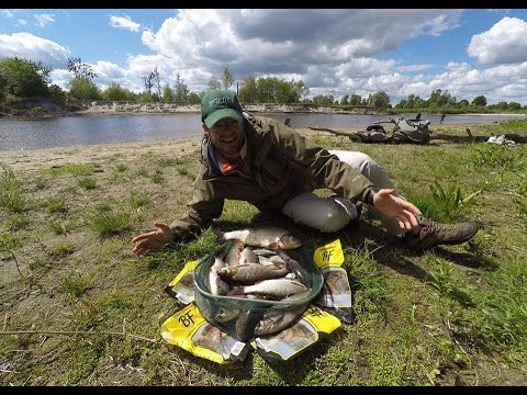 Видео: Язь на Фидер.