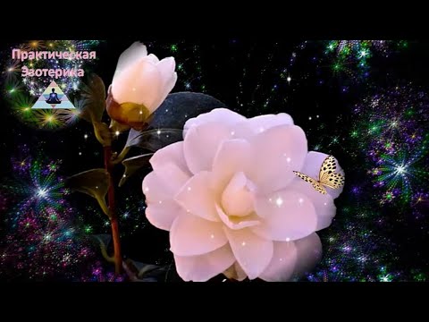 Видео: Мощная мантра удачи и везения ॐ Волшебная мантра счастья и везения на каждый день