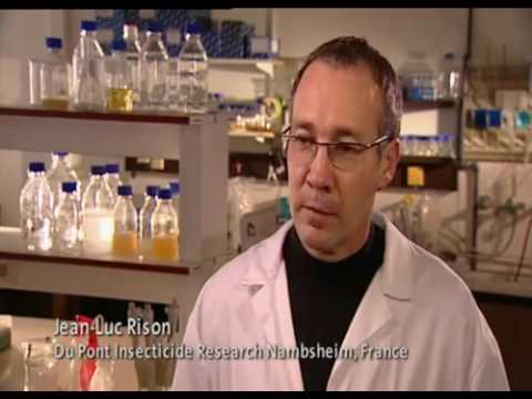 Видео: Кораген® для защиты яблоневых садов от яблонновой плодожорки