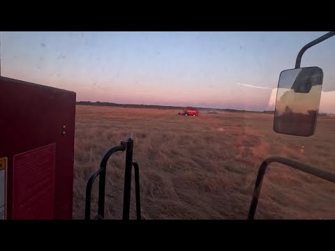 Видео: Плодотворный день работы на озимой ржи и первое залипание радиатора в этом сезоне
