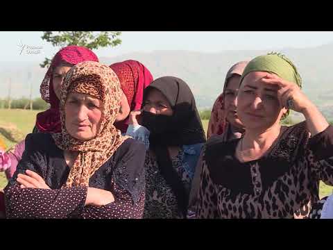 Видео: Сокинони Шаҳринав: Заҳри корхона беморӣ меорад