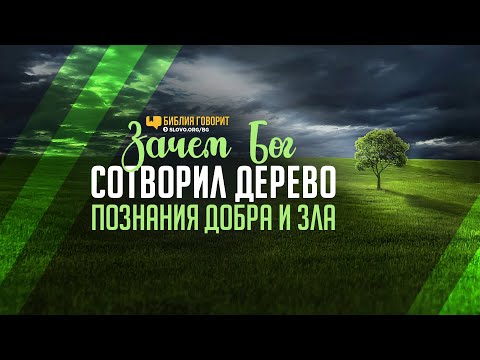 Видео: Зачем Бог сотворил дерево познания добра и зла? | "Библия говорит" | 1142