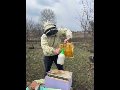 Видео: Пити хочуть всі....