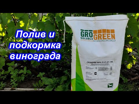 Видео: Полив и подкормка винограда
