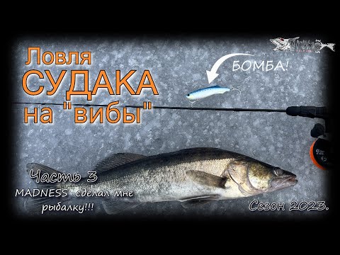 Видео: Ловля судака на вибы."MADNESS" сделал мне рыбалку!!! Часть 3. Сезон 2022-23