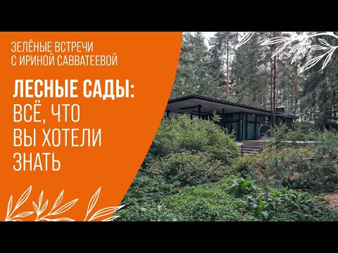 Видео: Творцы Леса: Сад На Лесном Участке | Обзор Сада "Лес и Каменные Плиты"