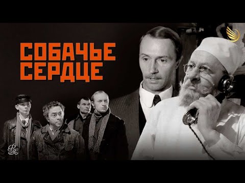 Видео: СОБАЧЬЕ СЕРДЦЕ. Как создавался фильм #кино #movie #киноссср #kino #documentary #bulgakov
