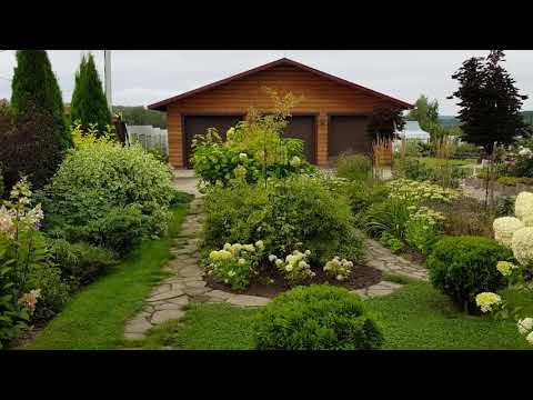 Видео: Как ИЗМЕНИЛСЯ САД после консультации ЛАНДШАФТНОГО ДИЗАЙНЕРА: советы Натальи Мягковой.