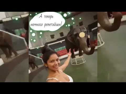 Видео: Дженни и Магда до и после...